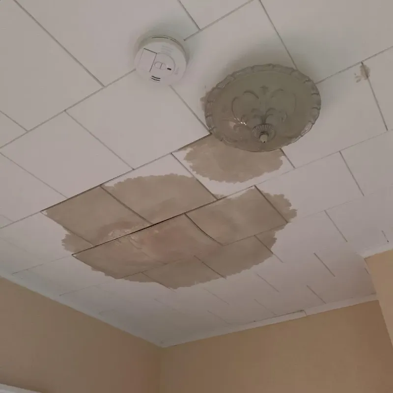 Ceiling Water Damage Repair in East Hemet, CA
